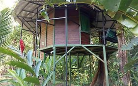 Finca Valeria Treehouses Glamping